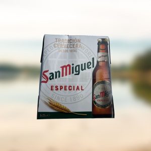 Bière San Miguel blonde 6x25cl